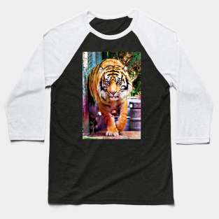 Siberian Tiger V2 Baseball T-Shirt